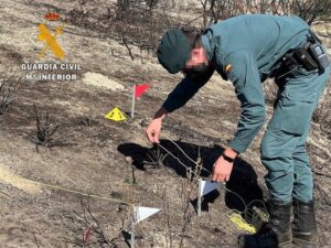 La Guardia Civil ha iniciado un procedimiento penal por el incendio de Los Gallardos