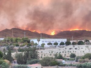 El fuego originado en Los Gallardos llega a Antas y comienza el desalojo de vecinos El fuego originado en Los Gallardos llega a Antas y comienza el desalojo de vecinos