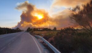 Ascienden a 14 los fallecidos en el incendio de Los Gallardos tras la muerte de una mujer hospitalizada