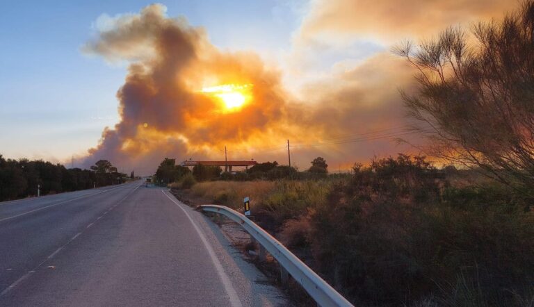 Ascienden a 14 los fallecidos en el incendio de Los Gallardos tras la muerte de una mujer hospitalizada