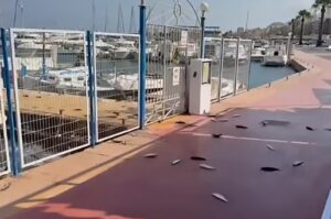El misterio de los peces que saltan al asfalto en el puerto de Garrucha El misterio de los peces que saltan al asfalto en el puerto de Garrucha