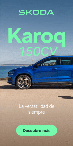Pagina de inicio https://www.grupoveraimport.com/skoda/promocion/nuevo/skoda-karoq-150cv/