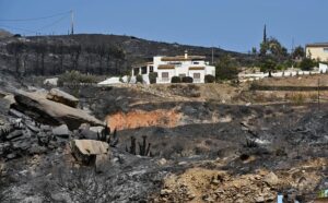 Ocho familias de las víctimas del incendio de Los Gallardos ya son acusación particular en la causa Ocho familias de las víctimas del incendio de Los Gallardos ya son acusación particular en la causa