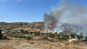 Ya son 15 los fallecidos por el incendio de Los Gallardos tras morir una mujer británica hospitalizada en Sevilla Ya son 15 los fallecidos por el incendio de Los Gallardos tras morir una mujer británica hospitalizada en Sevilla