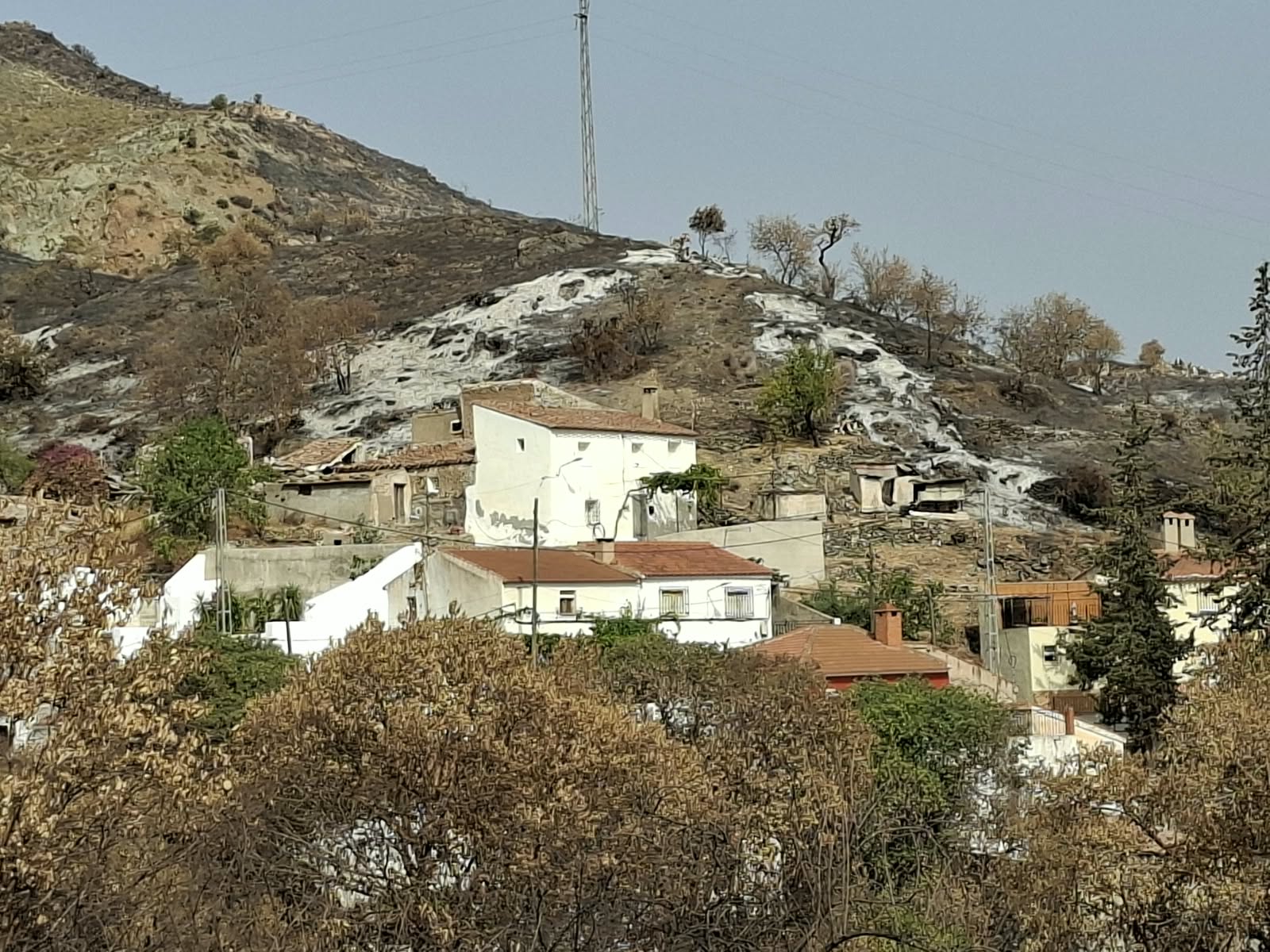 Cosentino restaurará en Lubrín las zonas calcinadas en el gran incendio del verano