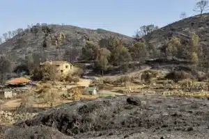 Carta de los familiares de las 15 víctimas del incendio de Los Gallardos al Parlamento de Andalucía Carta de los familiares de las 15 víctimas del incendio de Los Gallardos al Parlamento de Andalucía